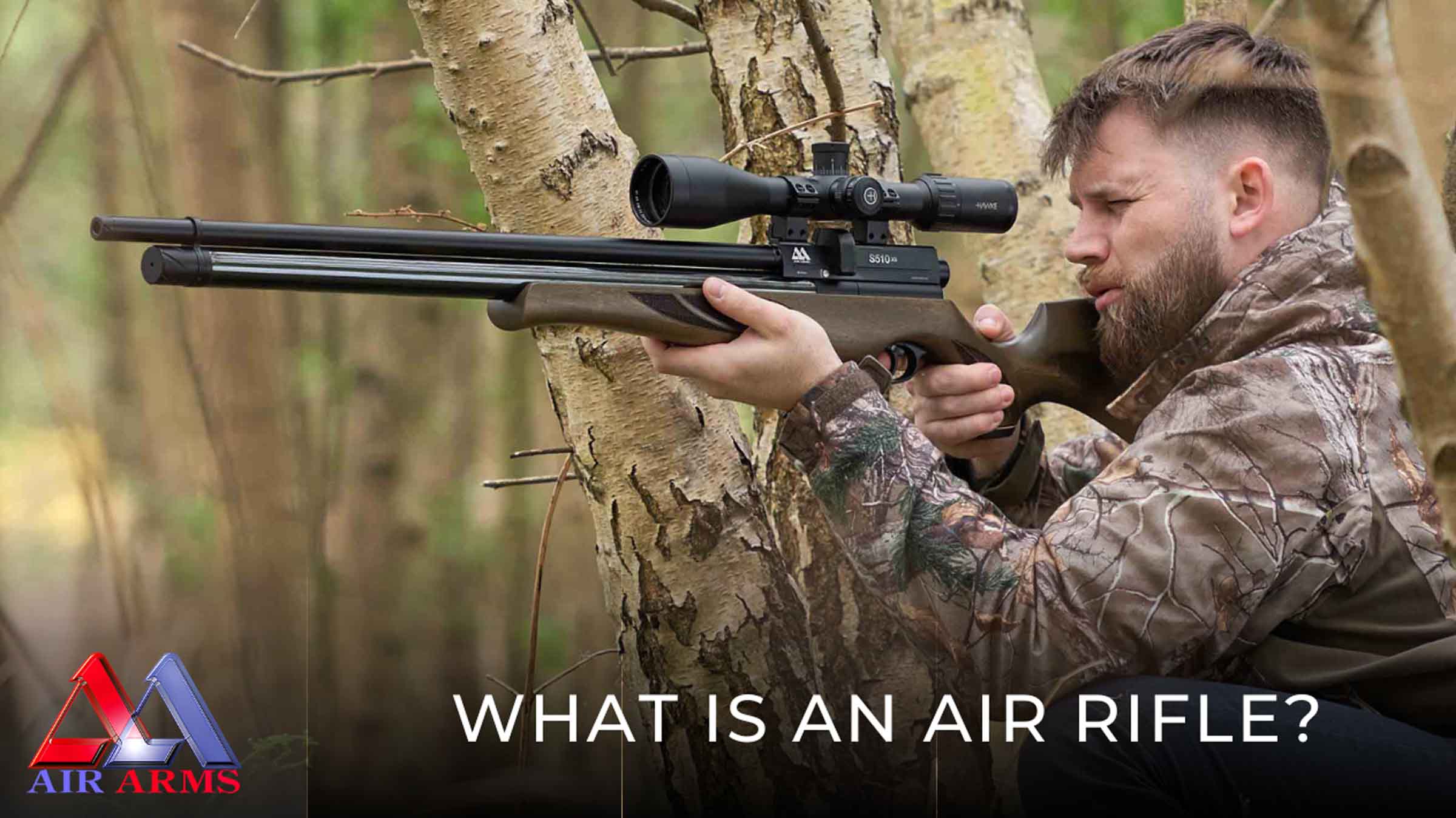 What is an Air Rifle?